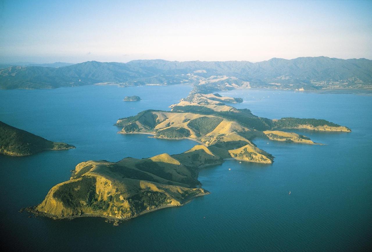 Coromandel Apartments エクステリア 写真